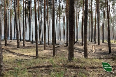 28 вересня російські війська атакували Черкащину ракетами та ударними дронами: що відомо 28 вересня російські війська атакували Черкащину ракетами та ударними дронами: що відомо