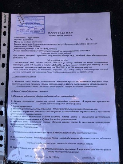 Що відомо про ймовірне отруєння собак в Івано-Франківську Що відомо про ймовірне отруєння собак в Івано-Франківську