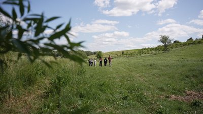 На Вінниччини створили заповідник червонокнижних рослин На Вінниччини створили заповідник червонокнижних рослин