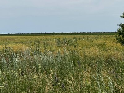 Літієве родовище, ділянка "Добра" Літієве родовище, ділянка "Добра"