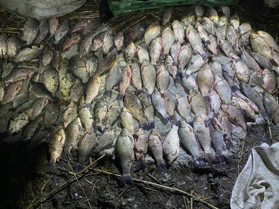 Завдали збитків на 750 тисяч гривень: на Одещині затримали чоловіків, які незаконно ловили рибу Завдали збитків на 750 тисяч гривень: на Одещині затримали чоловіків, які незаконно ловили рибу