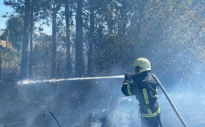 Понад 15 гектарів вигоріли вщент: на Черкащині за добу сталися 20 пожеж Понад 15 гектарів вигоріли вщент: на Черкащині за добу сталися 20 пожеж