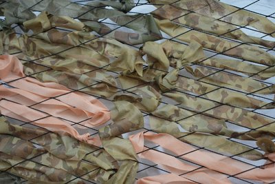 До заходу долучились понад 200 людей. У Херсоні триває акція "Година для ЗСУ" До заходу долучились понад 200 людей. У Херсоні триває акція "Година для ЗСУ"