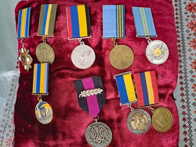 нагороди Віктора Бердника нагороди Віктора Бердника