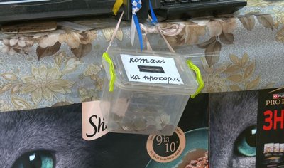 "Будиночки щастя": черкаські школярі роблять "котоприхистки" для безпритульних тварин "Будиночки щастя": черкаські школярі роблять "котоприхистки" для безпритульних тварин