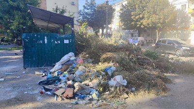 На Житомирщині зафіксували випадки незаконного складування відходів На Житомирщині зафіксували випадки незаконного складування відходів