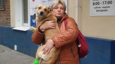 тварини тварини