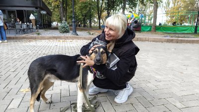 "Їм буде весело": у Миколаєві відбулась виставка-прилаштування собак "Їм буде весело": у Миколаєві відбулась виставка-прилаштування собак