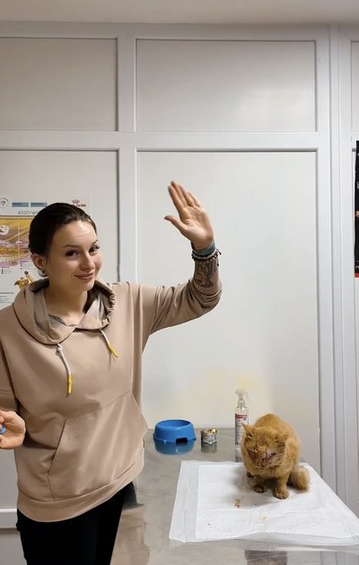 Анна Гришко, кішка Анна Гришко, кішка