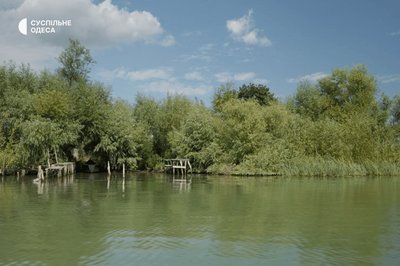 Вилкове фото Вилкове фото