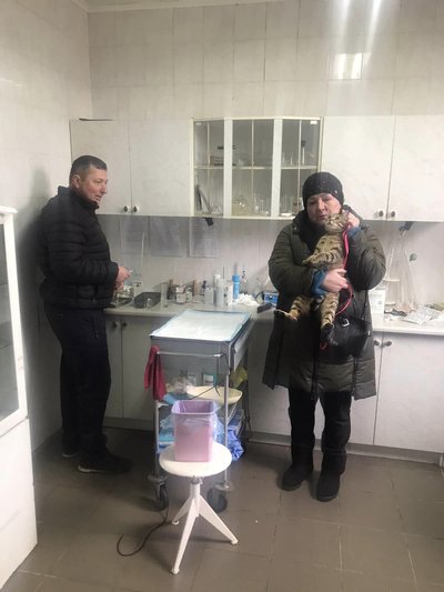 Армія РФ поцілила у центр стерилізації безпритульних тварин на Миколаївщині Армія РФ поцілила у центр стерилізації безпритульних тварин на Миколаївщині