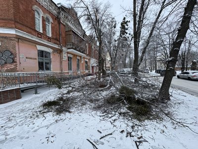Сніг, дощ і ожеледиця: на Полтавщині за ніч випало до 70% місячної норми опадів Сніг, дощ і ожеледиця: на Полтавщині за ніч випало до 70% місячної норми опадів