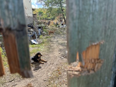 «Дрони роями літають». Як живе Тетянівка під Святогірськом, де залишилися 26 людей «Дрони роями літають». Як живе Тетянівка під Святогірськом, де залишилися 26 людей