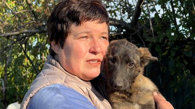 Небезпечна місцевість. Як з Дружківки евакуювали 28 тварин та волонтерку, що ними опікувалася Небезпечна місцевість. Як з Дружківки евакуювали 28 тварин та волонтерку, що ними опікувалася