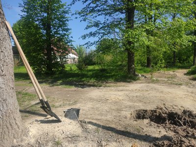50 мільйонів на парки: у Житомирі збирають підписи проти виділення грошей на ремонт парків і скверів 50 мільйонів на парки: у Житомирі збирають підписи проти виділення грошей на ремонт парків і скверів