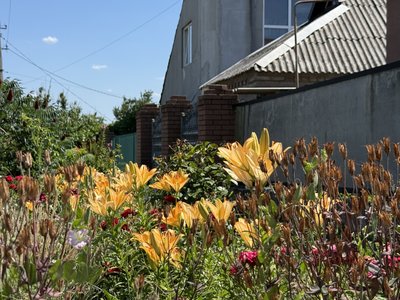 “У нас нічого немає”. Як понад місяць без світла живуть жителі Малотаранівки на Донеччині “У нас нічого немає”. Як понад місяць без світла живуть жителі Малотаранівки на Донеччині