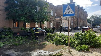 Гроза на Кіровоградщині: вітер повал дерева,
погнув білборд й зірвав покрівлю Гроза на Кіровоградщині: вітер повал дерева,
погнув білборд й зірвав покрівлю