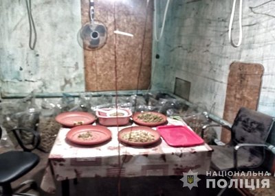 "Виростив конопель на майже 25 млн грн": на Дніпропетровщині судитимуть імовірного наркоділка "Виростив конопель на майже 25 млн грн": на Дніпропетровщині судитимуть імовірного наркоділка