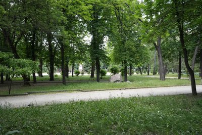 Європейський день парків. Які є в Кропивницькому і як там можна відпочити