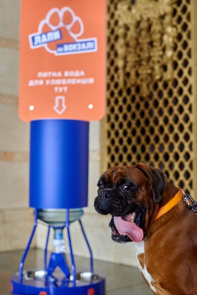 Pet-friendly: на залізничному вокзалі в Одесі встановили дозатори з водою для тварин Pet-friendly: на залізничному вокзалі в Одесі встановили дозатори з водою для тварин