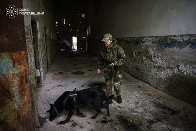 Навчали собак пошуку: на Полтавщині провели тренування з порятунку людей з-під завалів Навчали собак пошуку: на Полтавщині провели тренування з порятунку людей з-під завалів