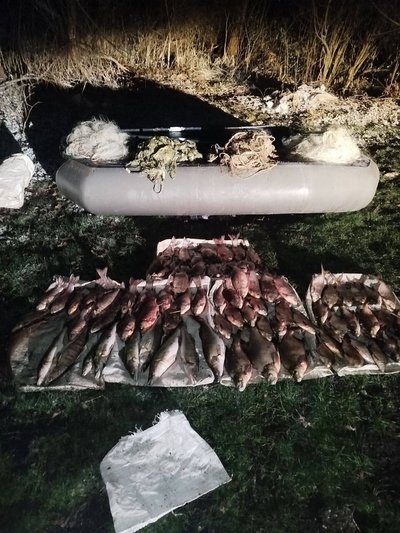 На Житомирщині виявили два випадки браконьєрства: збитки становлять понад 250 тисяч гривень На Житомирщині виявили два випадки браконьєрства: збитки становлять понад 250 тисяч гривень