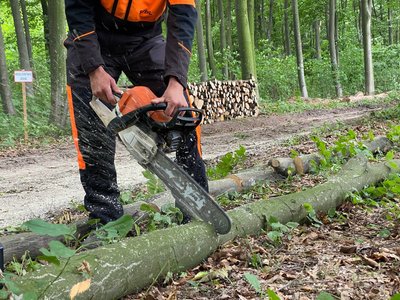 На Хмельниччині зросла кількість замовлень на дрова: чому людям вигідно влітку запастися деревиною На Хмельниччині зросла кількість замовлень на дрова: чому людям вигідно влітку запастися деревиною