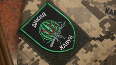 шеврон, дикий кавун, кавун шеврон, дикий кавун, кавун