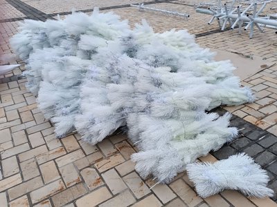У Києві почали встановлювати головну ялинку країни