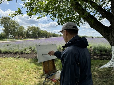 На Буковині відкрили лавандове поле