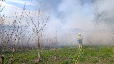 За добу 16 квітня на Черкащині виникли шість пожеж в екосистемах: горів сухостій та сміття За добу 16 квітня на Черкащині виникли шість пожеж в екосистемах: горів сухостій та сміття