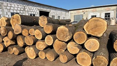 Незаконне вирубування дерев, підозрюють жителів Тернопільщини, поліція, січень 2025 Незаконне вирубування дерев, підозрюють жителів Тернопільщини, поліція, січень 2025