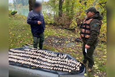 Понад 380 тисяч гривень збитків: на Житомирщині виявили чоловіка, який ловив рибу сітками Понад 380 тисяч гривень збитків: на Житомирщині виявили чоловіка, який ловив рибу сітками