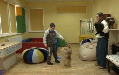 Центр реабілітації, собаки Центр реабілітації, собаки