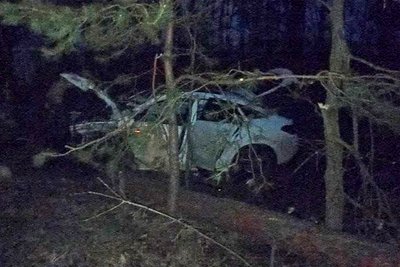 Легковик зіткнувся із автобусом та деревом: на міжнародній трасі поблизу Житомира в ДТП постраждали двоє дітей Легковик зіткнувся із автобусом та деревом: на міжнародній трасі поблизу Житомира в ДТП постраждали двоє дітей