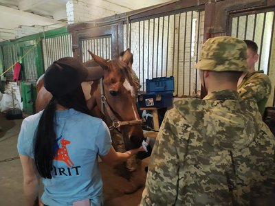 Іпотерапія для військових Іпотерапія для військових