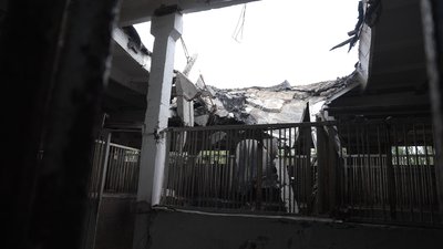 Згоріли стайні, тварини — у стресі. Після удару "шахедами" з кінзаводу Дніпропетровщини евакуювали останніх лошат Згоріли стайні, тварини — у стресі. Після удару "шахедами" з кінзаводу Дніпропетровщини евакуювали останніх лошат