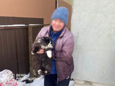 Кіт впав у колодязь на Рівненщині. Його звідти дістали рятувальники