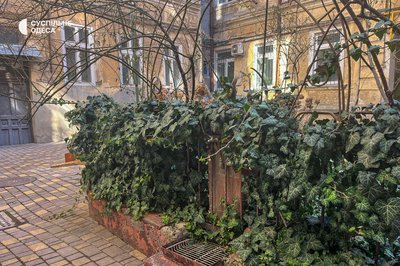Одеські дворики у фото: світ за зачиненими воротами Одеські дворики у фото: світ за зачиненими воротами