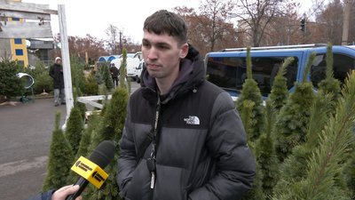 У Луцьку запрацювали ялинкові ярмарки. Скільки коштують хвойні дерева до свят