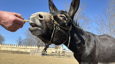 фотодобірка року фотодобірка року