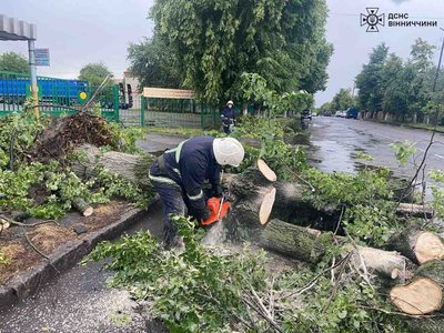 Повалені дерева та знеструмлені населені пункти: наслідки негоди на Вінниччині Повалені дерева та знеструмлені населені пункти: наслідки негоди на Вінниччині