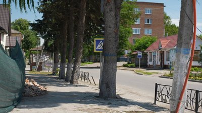 "Квіти саджаєм". Як долають безробіття на Білопільщині Сумської області "Квіти саджаєм". Як долають безробіття на Білопільщині Сумської області