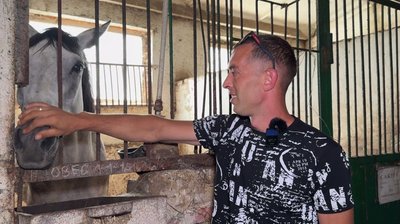 На Сумщині військовослужбовці проходять реабілітацію за допомогою коней На Сумщині військовослужбовці проходять реабілітацію за допомогою коней