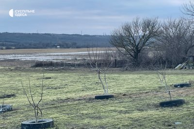 Танення снігу спричинило підтоплення Березівки та околиць: фото наслідків негоди Танення снігу спричинило підтоплення Березівки та околиць: фото наслідків негоди
