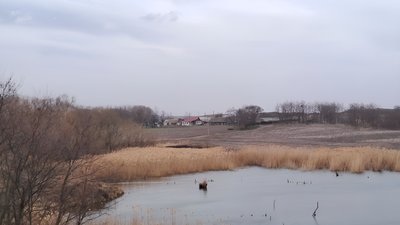 Єдині жителі в селі Мар'янівка: історія подружжя з Кіровоградщини Єдині жителі в селі Мар'янівка: історія подружжя з Кіровоградщини