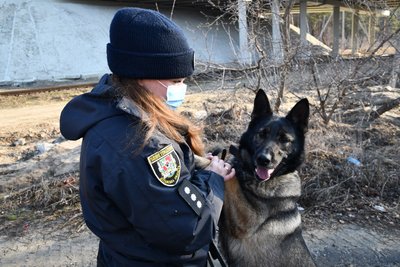 Будинок розбомбили, а доньку не бачила дев'ять місяців: історія поліцейської з Одещини, яка двічі стала переселенкою Будинок розбомбили, а доньку не бачила дев'ять місяців: історія поліцейської з Одещини, яка двічі стала переселенкою