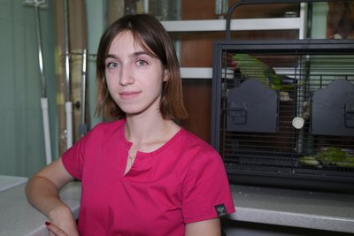Набирає вагу й стає активнішим. Як почувається прооперований у Дніпрі боривітер, травмований через зіткнення з дроном РФ Набирає вагу й стає активнішим. Як почувається прооперований у Дніпрі боривітер, травмований через зіткнення з дроном РФ