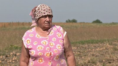 На Волині триває збір урожаю картоплі На Волині триває збір урожаю картоплі