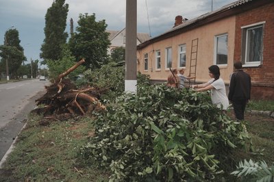 Жителі Харкова прибирають дерева, які впали внаслідок буревію, 13 липня 2025 року